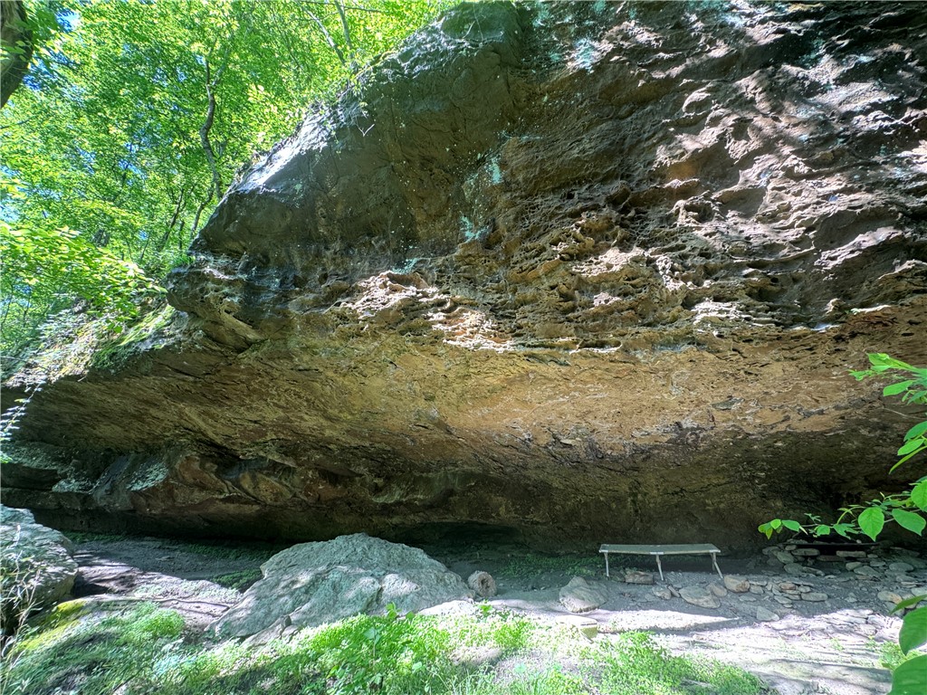 Image 38