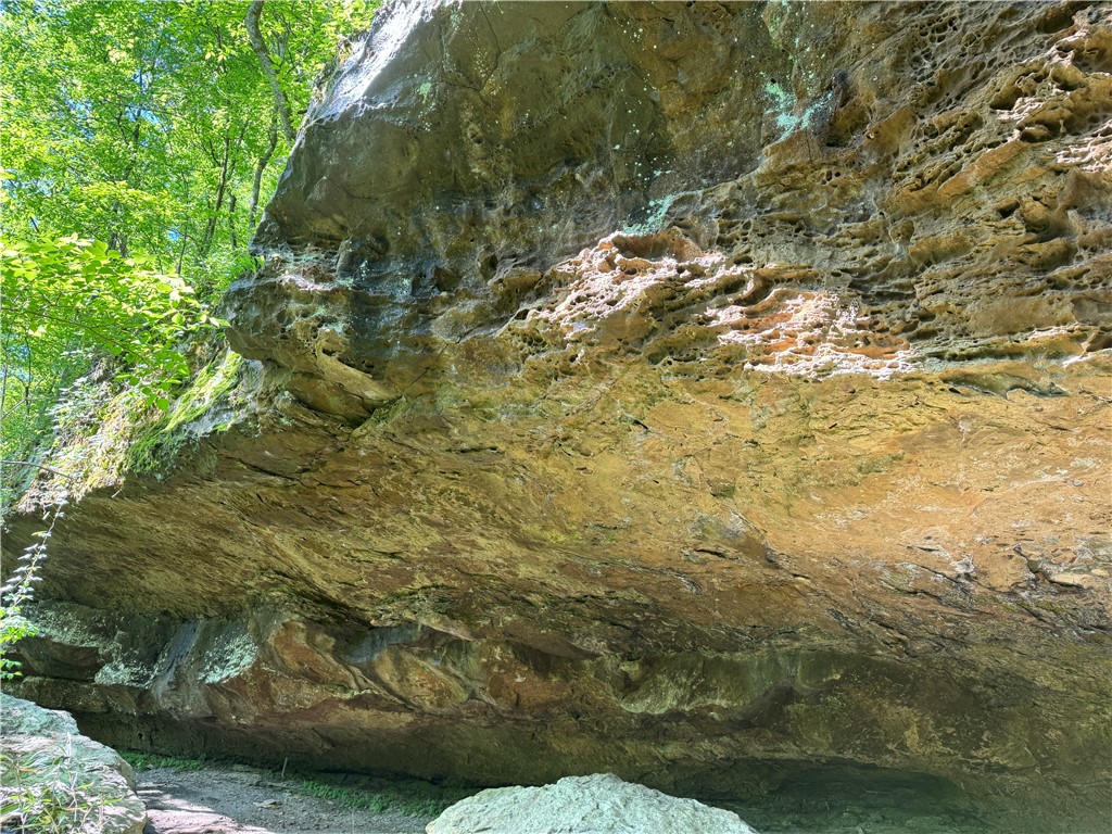 Image 41