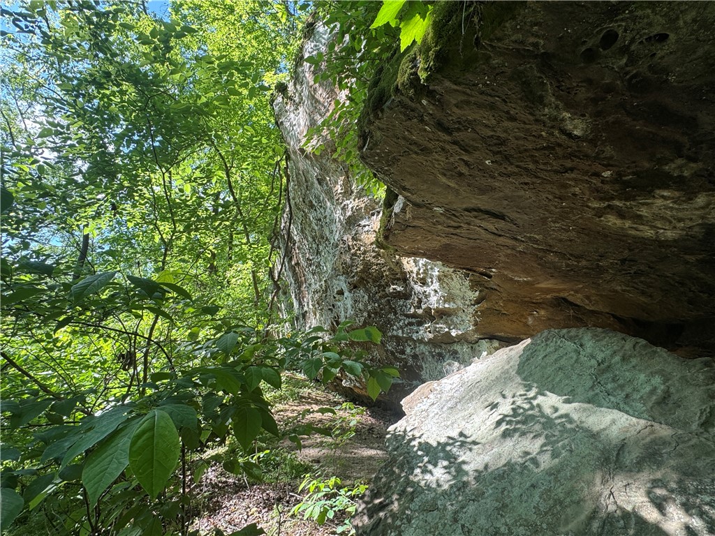 Image 42