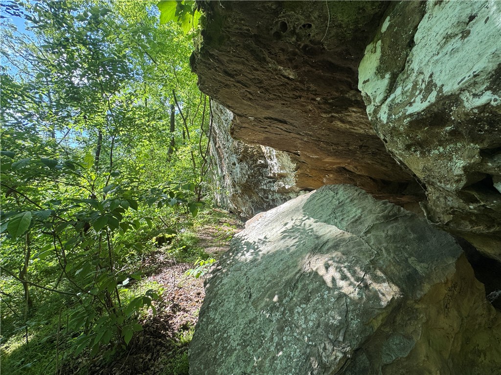 Image 43
