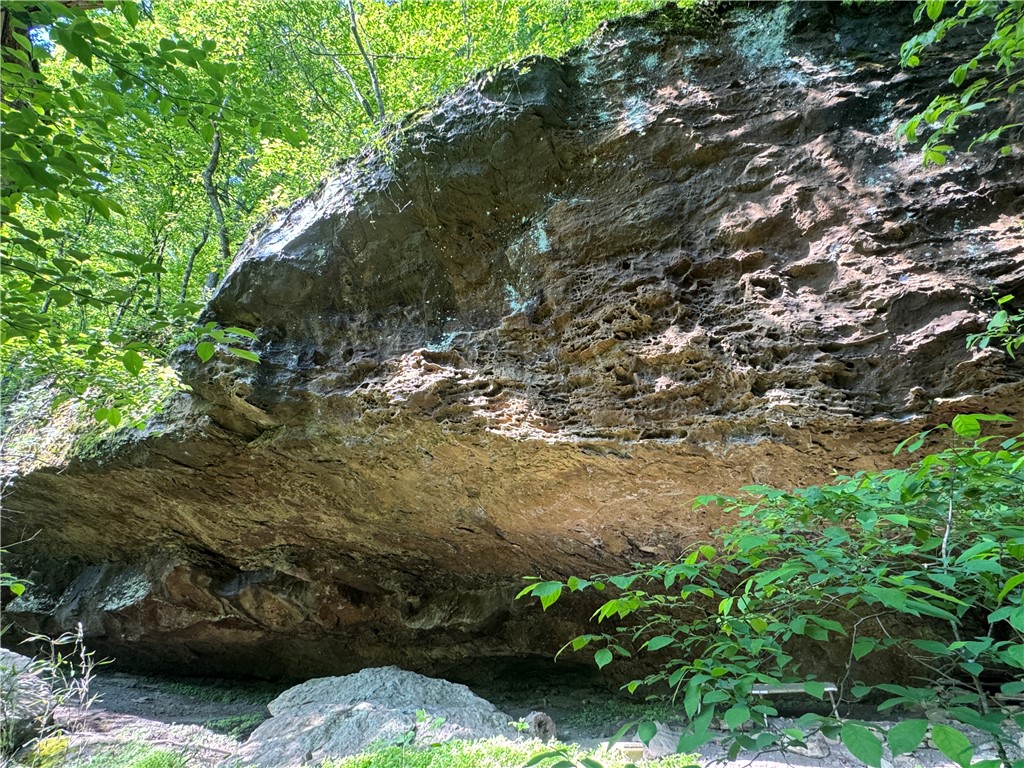 Image 46