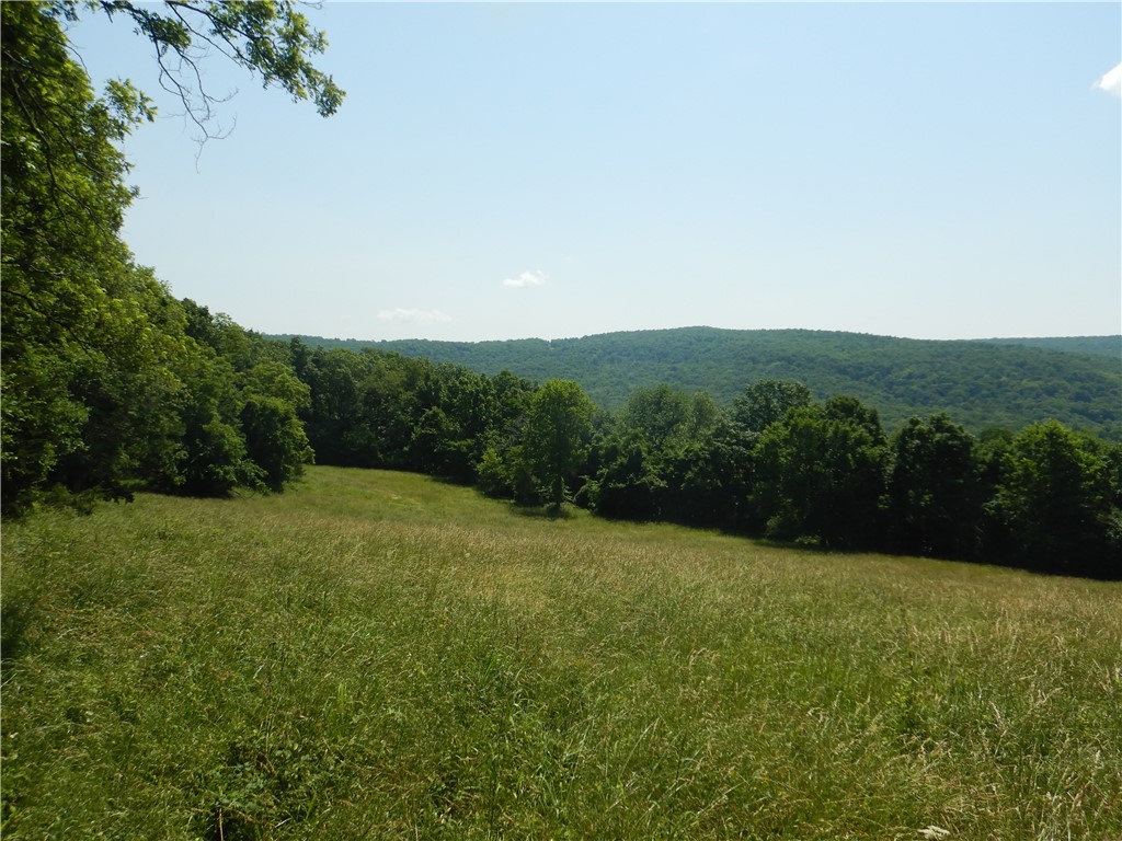 Image 12