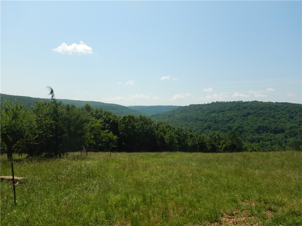 Image 13