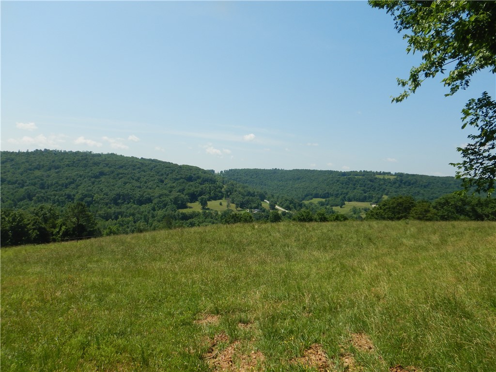Image 14