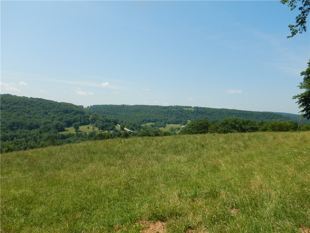 Image 15