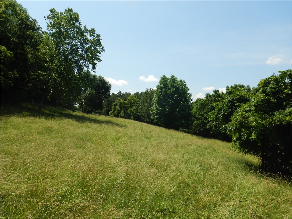 Image 17