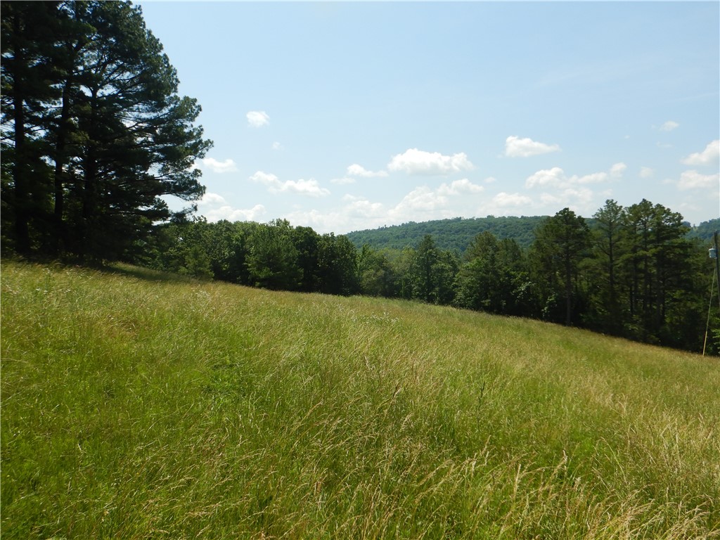 Image 18