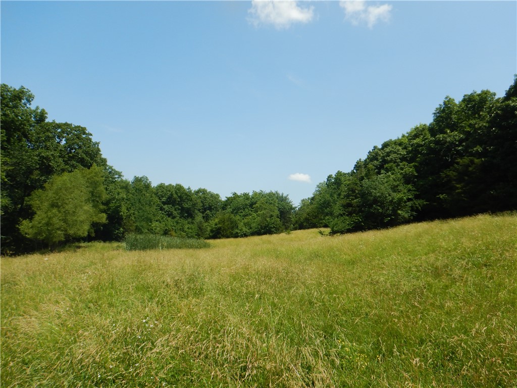 Image 19