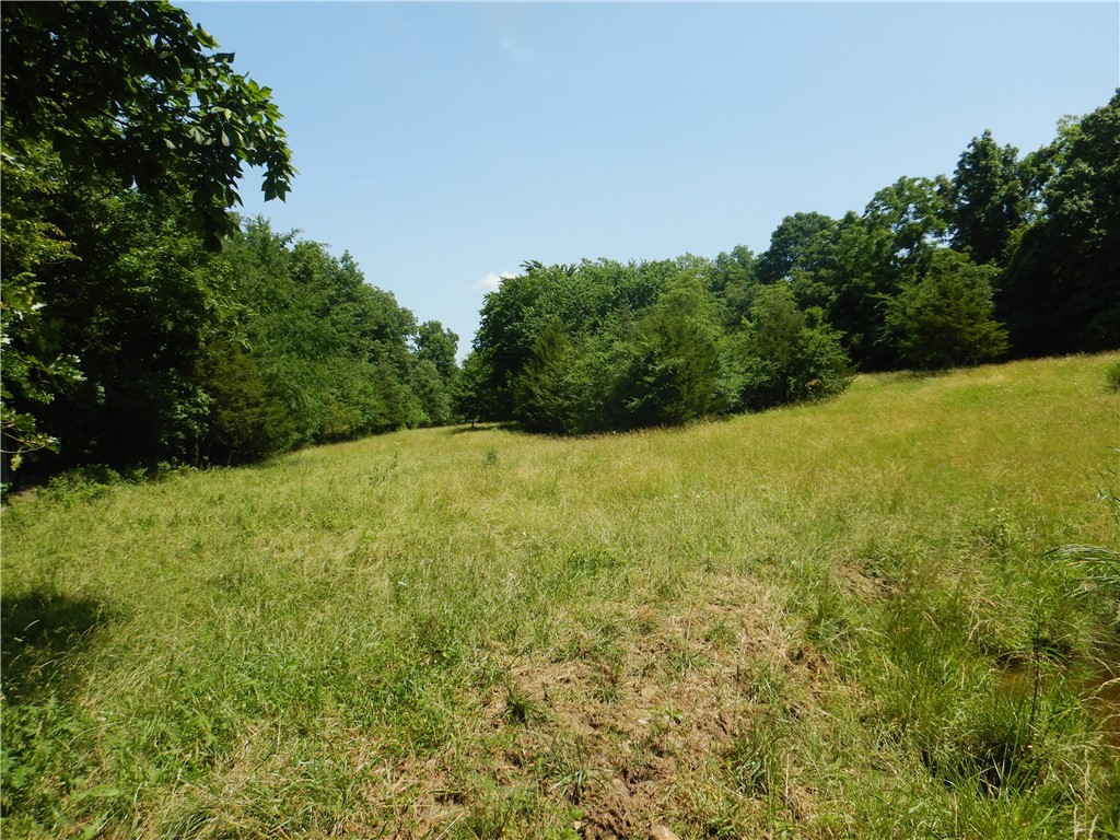 Image 20