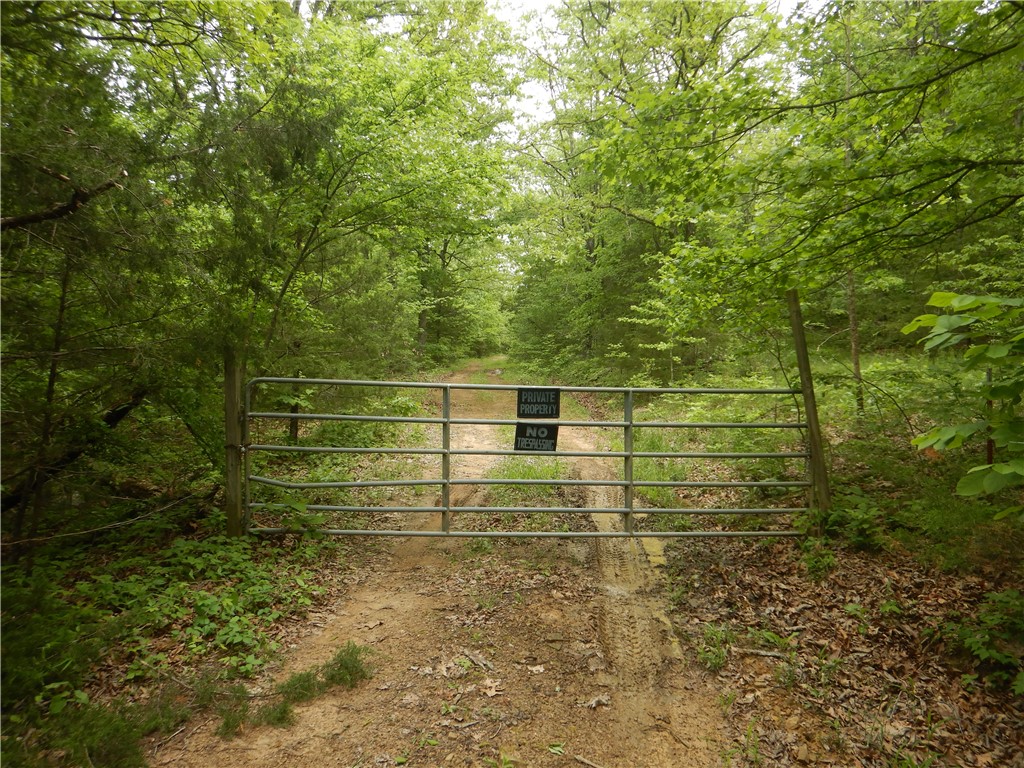 Image 22