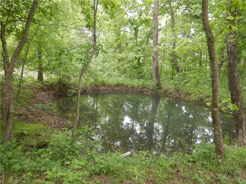 Image 31