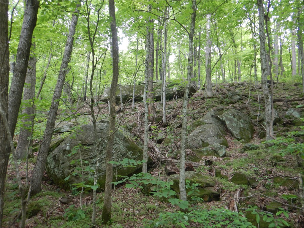 Image 32