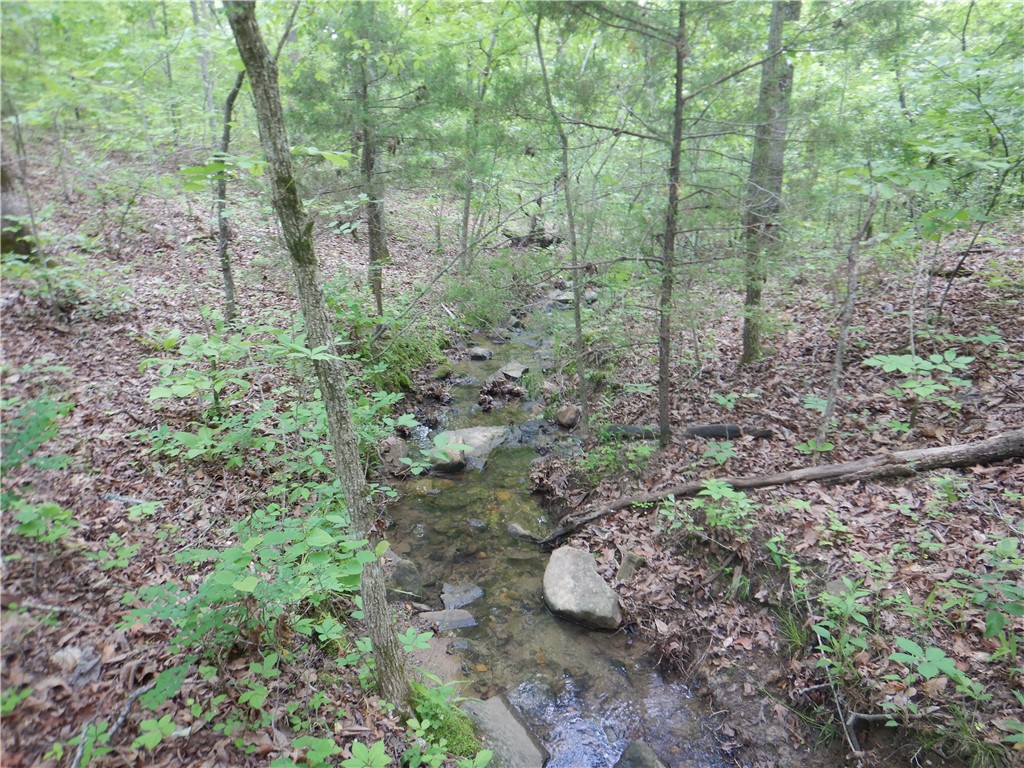Image 33