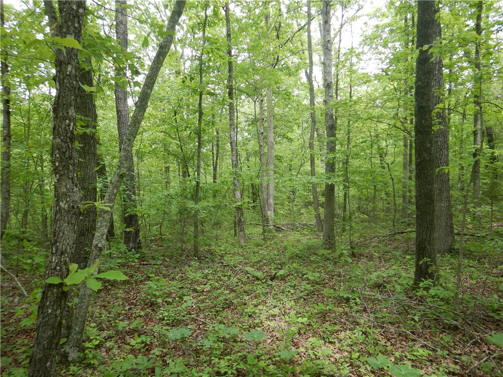 Image 45