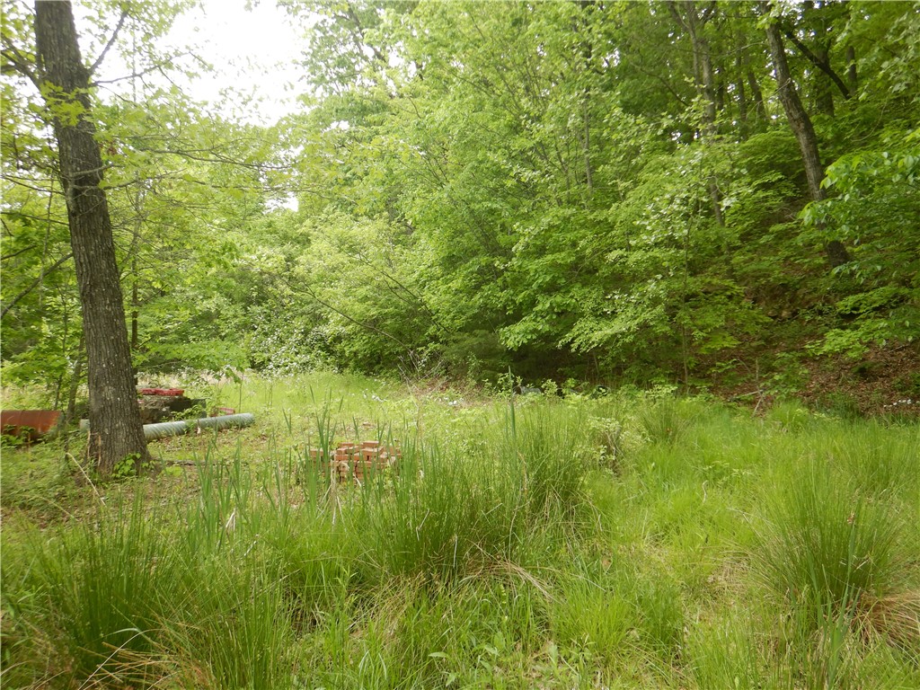 Image 47