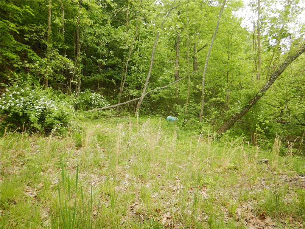 Image 48