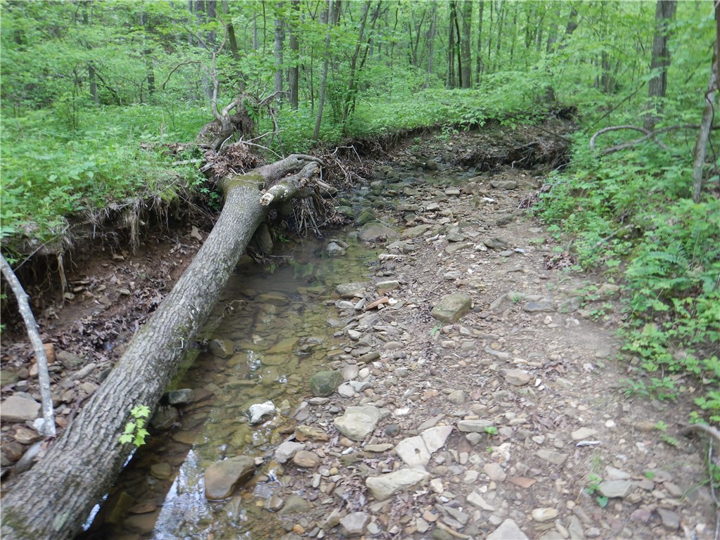 Image 49