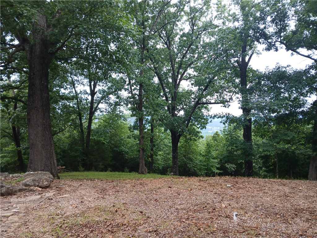 Image 22