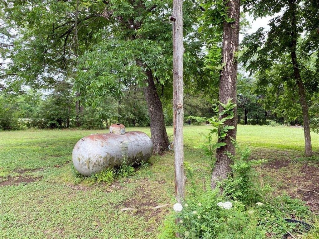 Image 22
