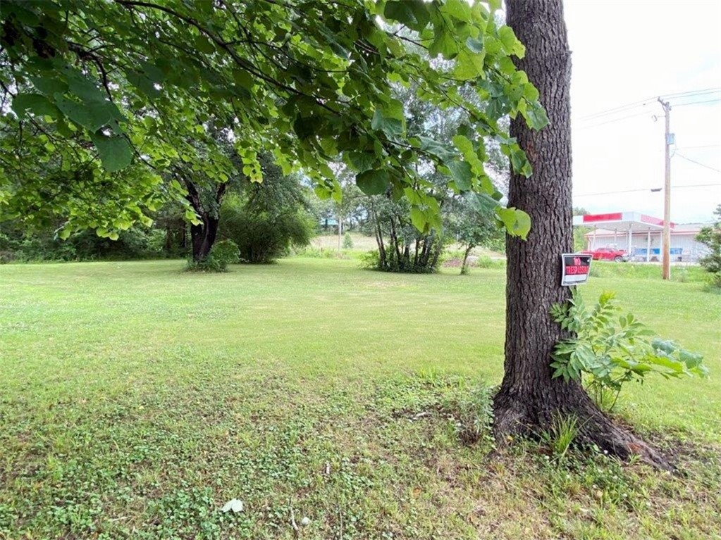 Image 25