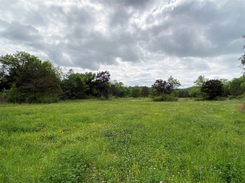 Image 38