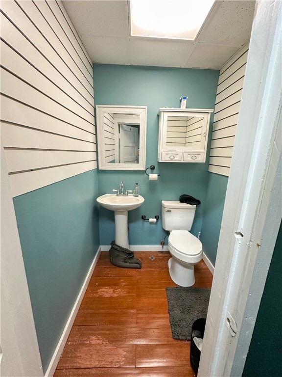 Image 19