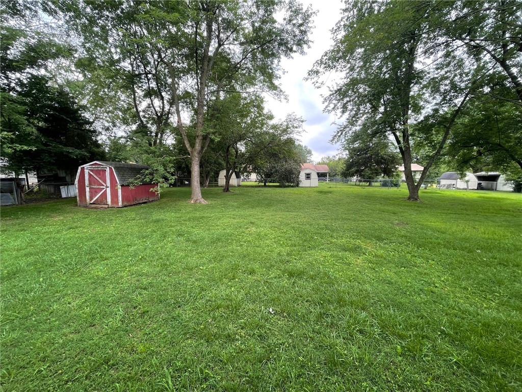 Image 11