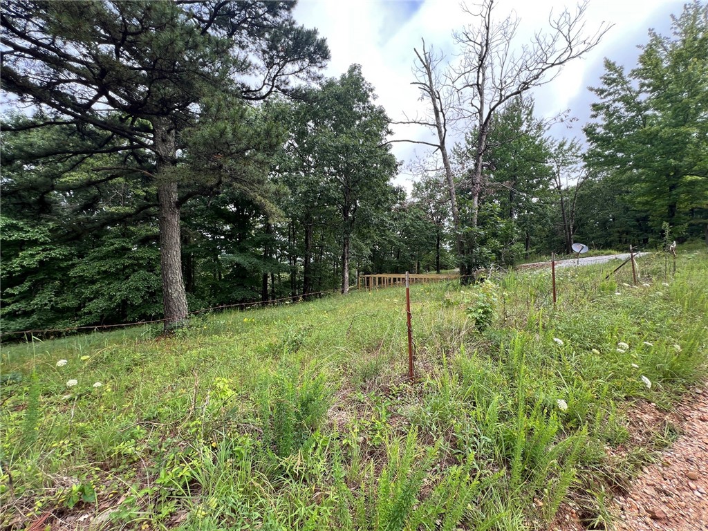Image 10