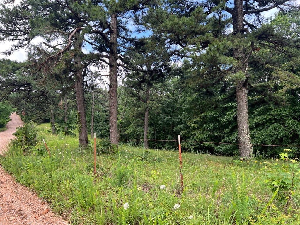 Image 12