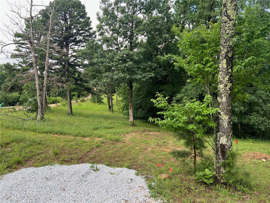 Image 13