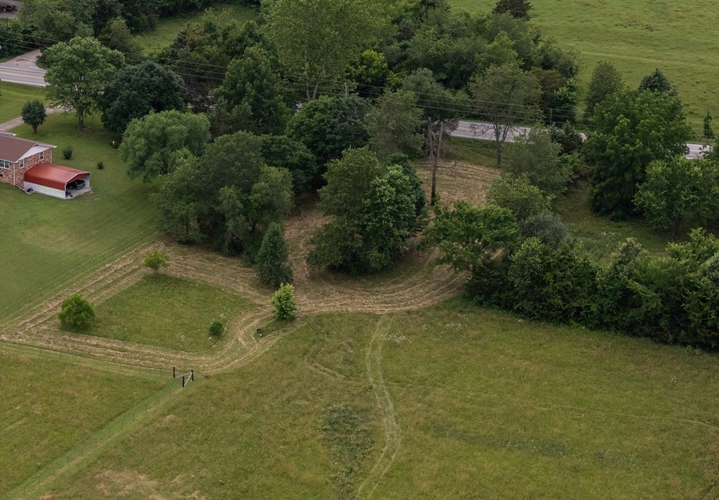 Image 12
