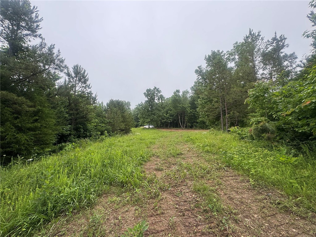 Image 9