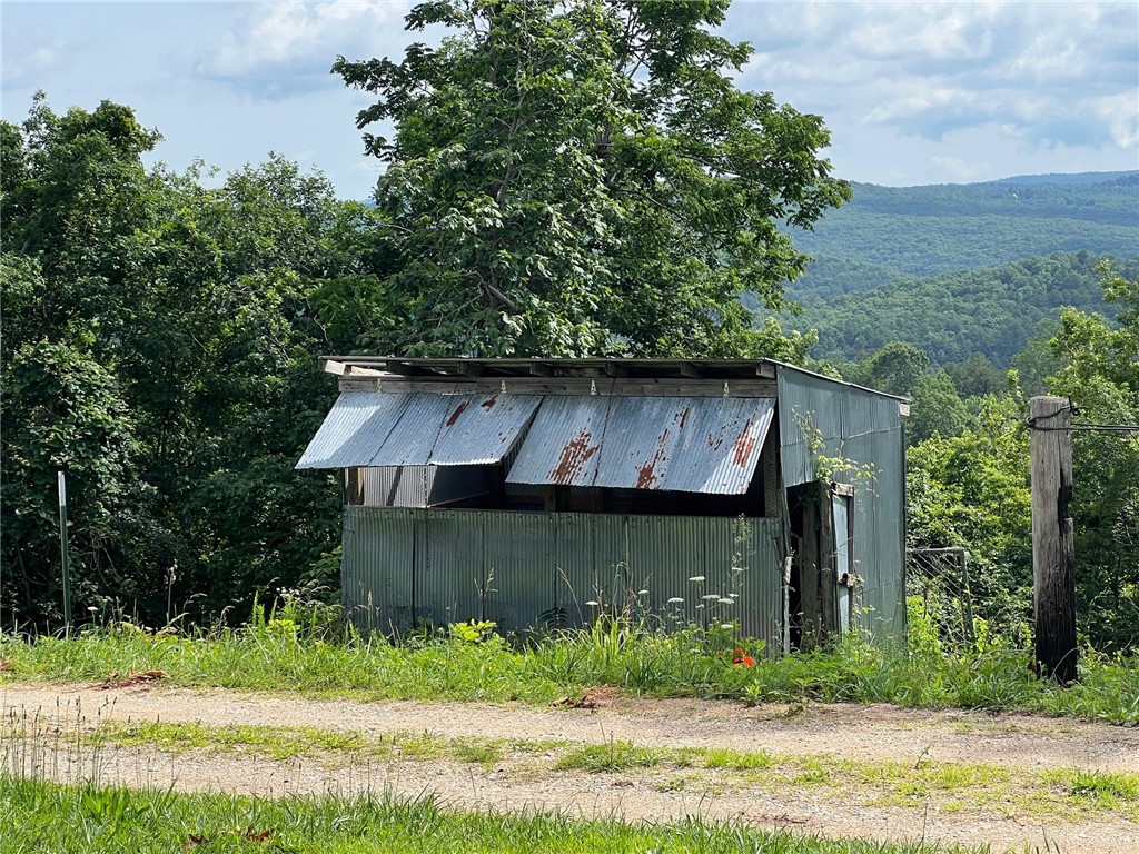 Image 31