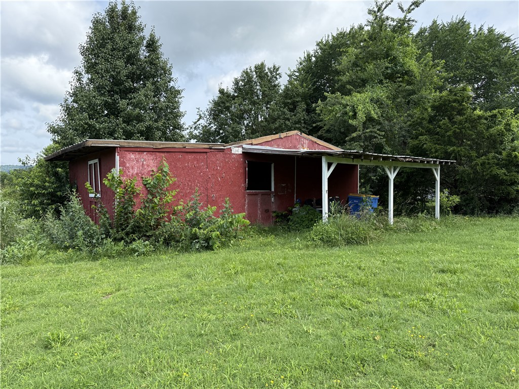 Image 14