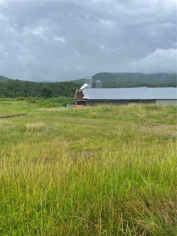 Image 11