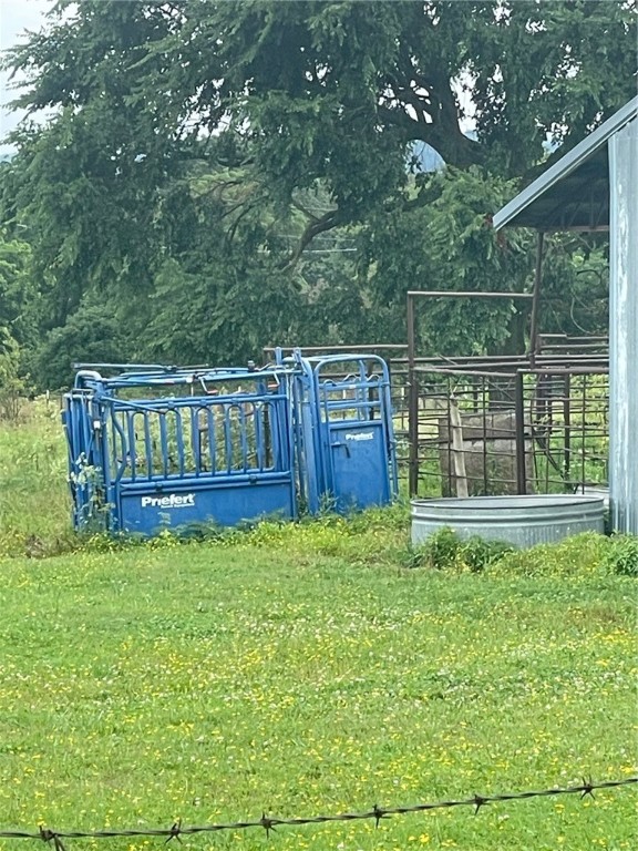 Image 16