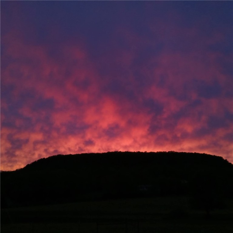 Image 25