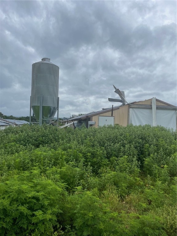 Image 22