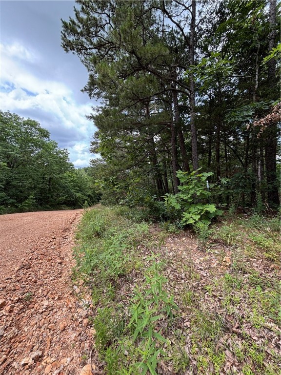 Image 10