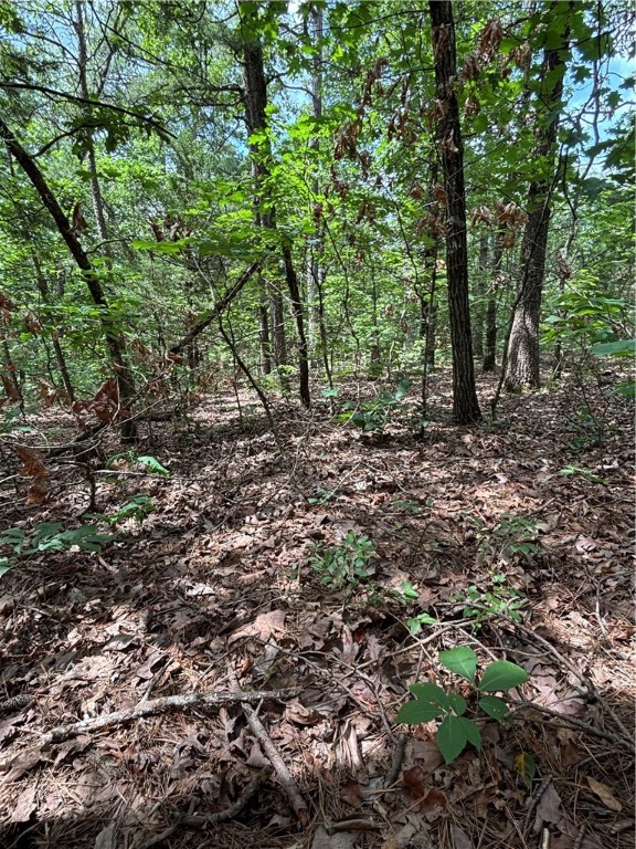 Image 13