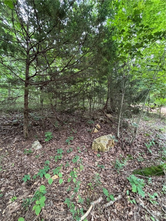 Image 14