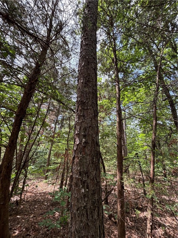 Image 15