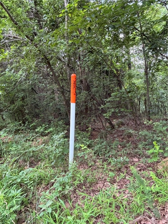 Image 16