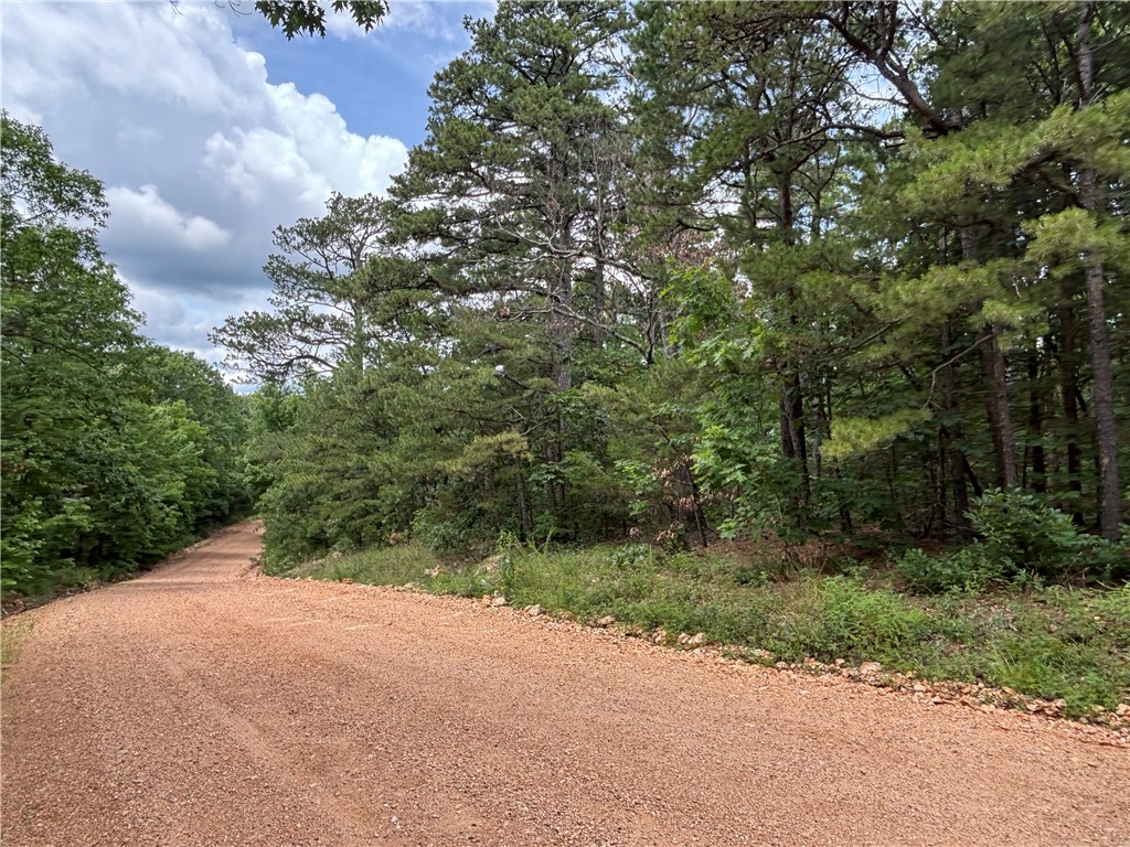 Image 8