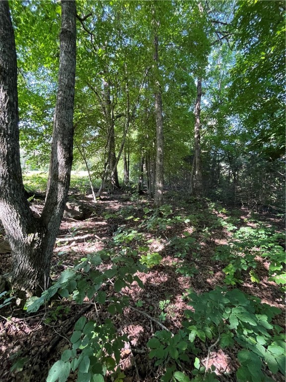 Image 12