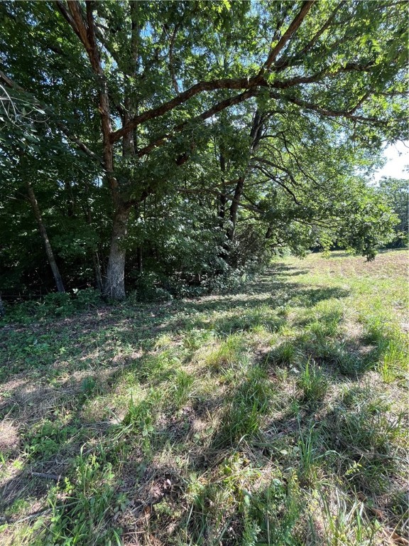 Image 13