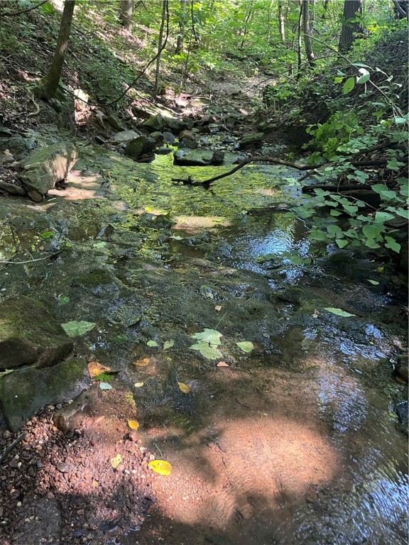 Image 8