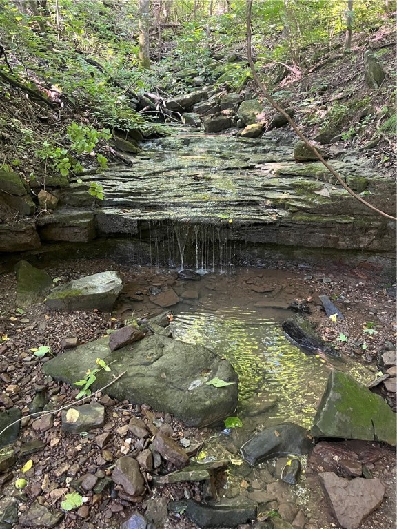Image 9