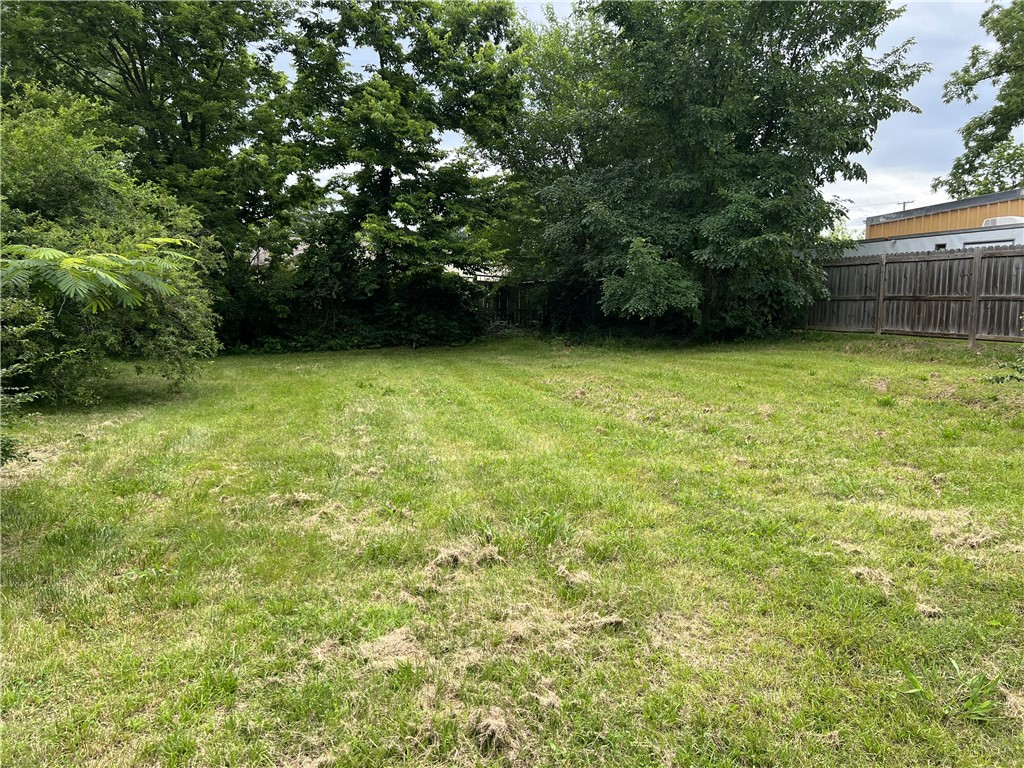 Image 13