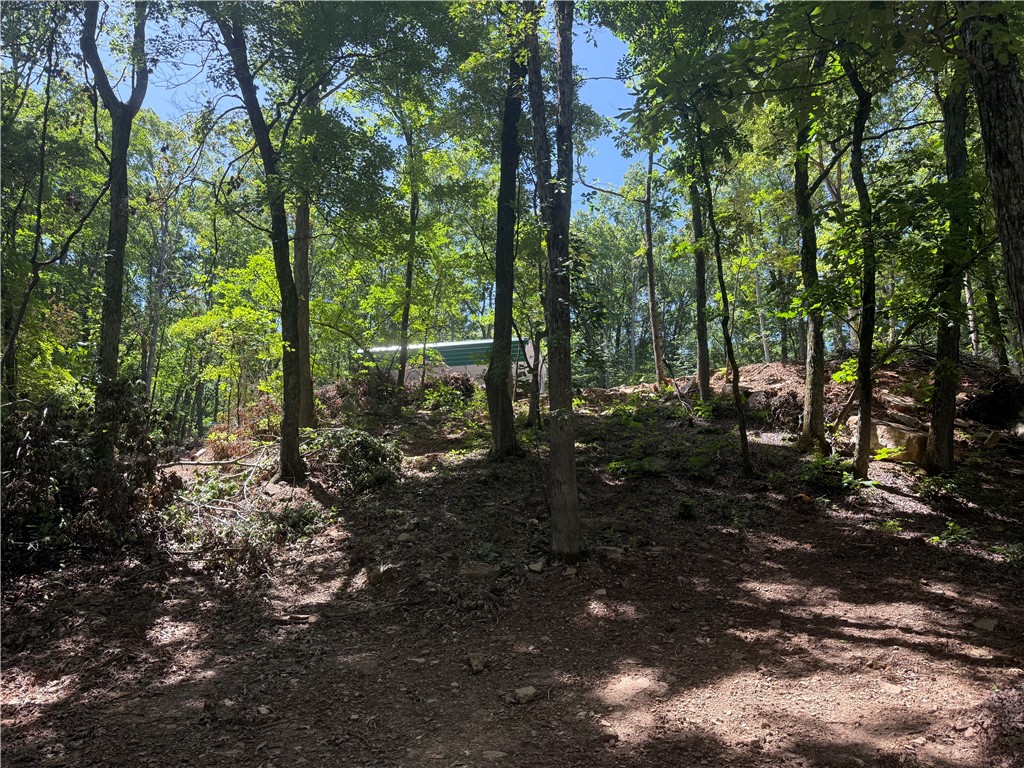 Image 15